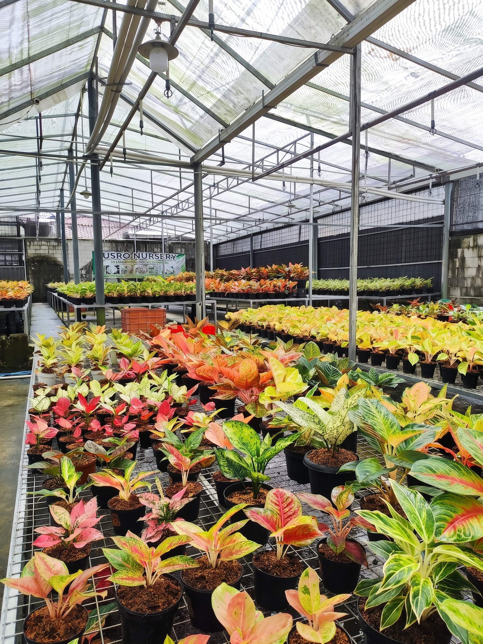 Agrowisata Karangcengis